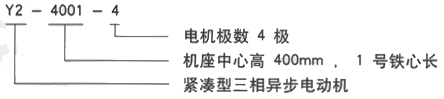 YR系列(H355-1000)高压YKK4504-2/710KW三相异步电机西安西玛电机型号说明